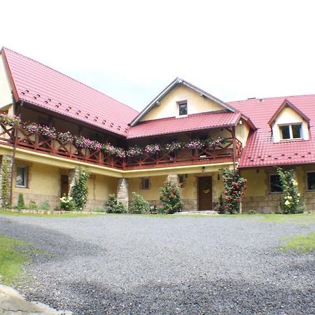 Dom Na Klonowym Wzgorzu Bed & Breakfast Stronie Śląskie Eksteriør bilde