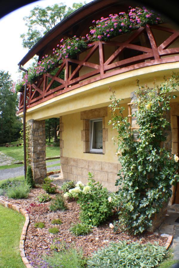 Dom Na Klonowym Wzgorzu Bed & Breakfast Stronie Śląskie Eksteriør bilde