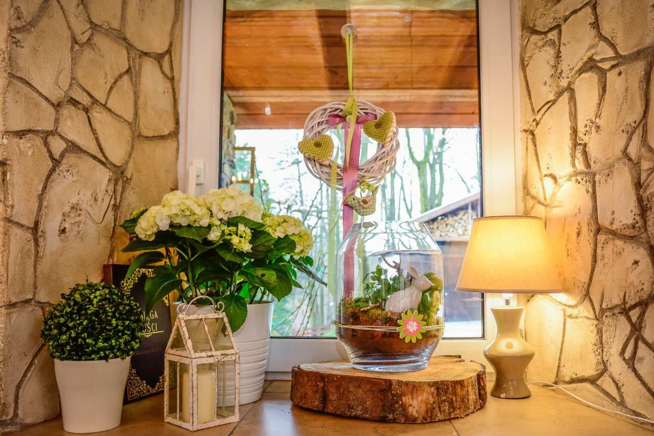 Dom Na Klonowym Wzgorzu Bed & Breakfast Stronie Śląskie Eksteriør bilde