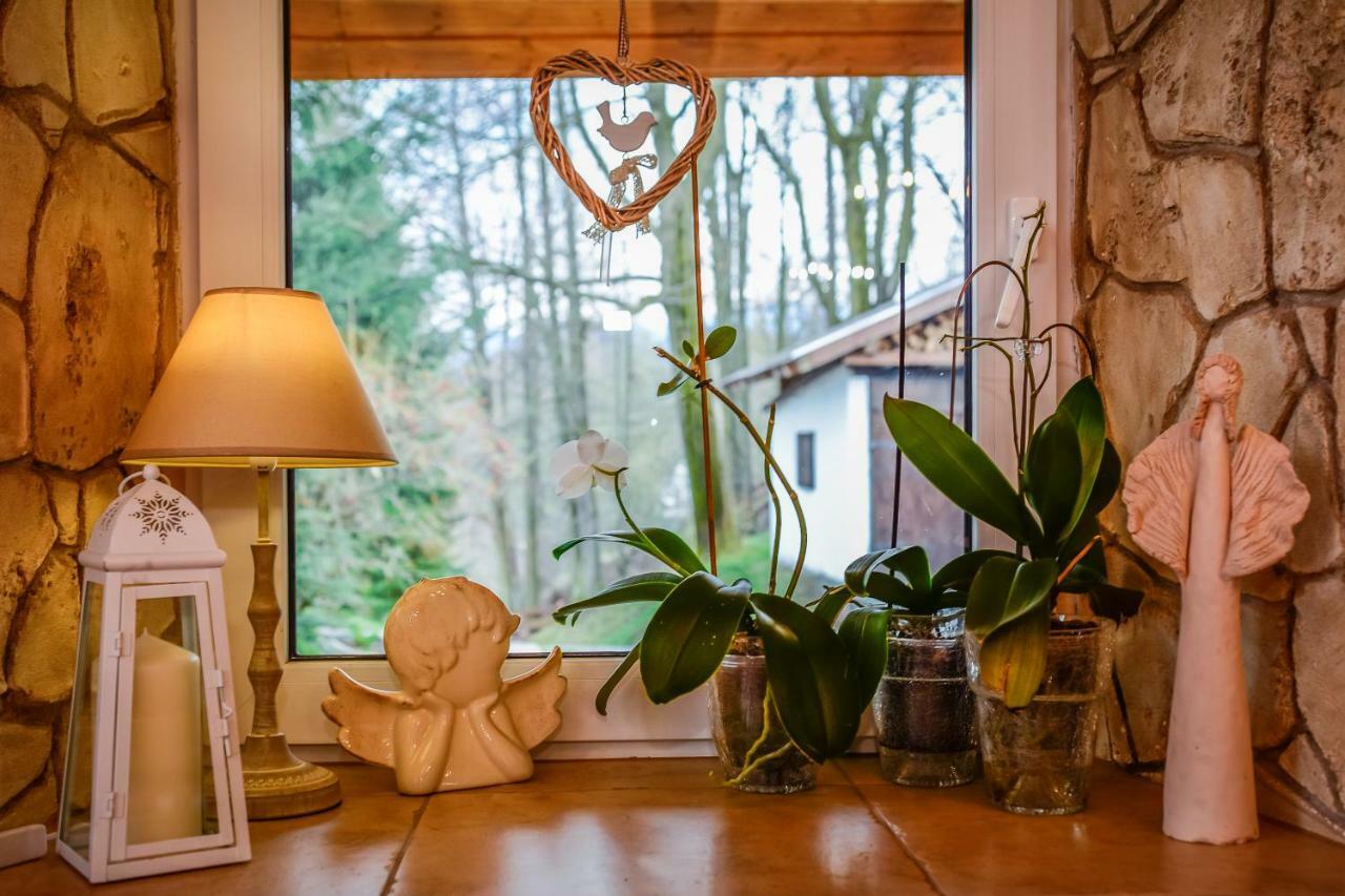 Dom Na Klonowym Wzgorzu Bed & Breakfast Stronie Śląskie Eksteriør bilde